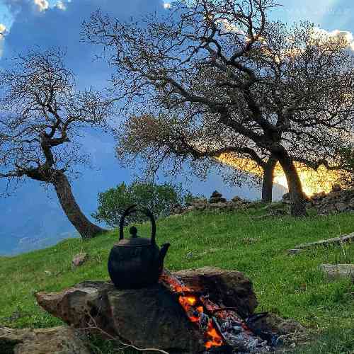 محسن رستگاری کوگ بال اشکهستم درمون بالم تی تنه